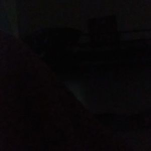 Meet your Posher, Danny